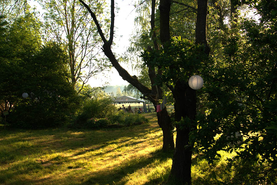 Festivalwiese900x600